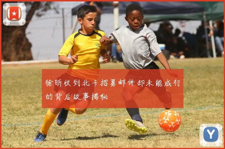 徐昕收到北卡招募邮件却未能成行的背后故事揭秘