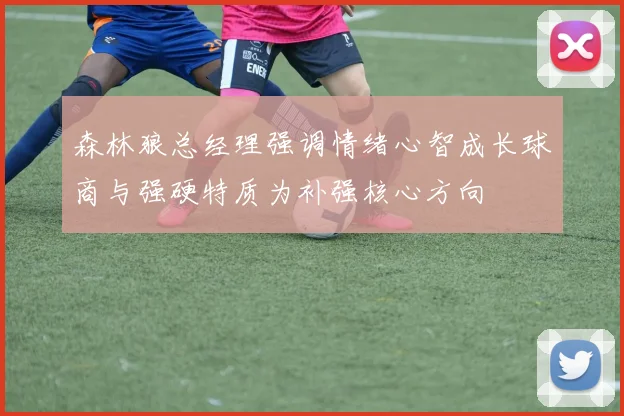 森林狼总经理强调情绪心智成长球商与强硬特质为补强核心方向